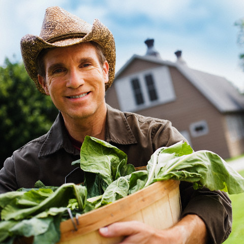 agriculture and forestry assignment writing service